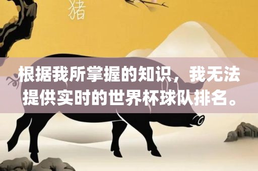 根据我所掌握的知识，我无法提供实时的世界杯球队排名。