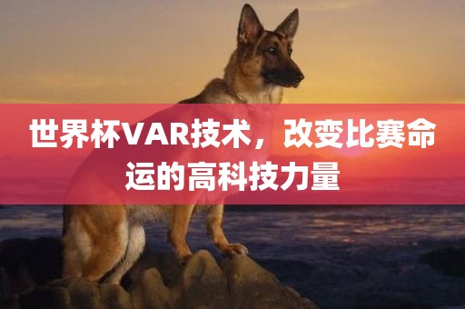 世界杯VAR技术，改变比赛命运的高科技力量洪湖市顺升工程机械租赁有限公司