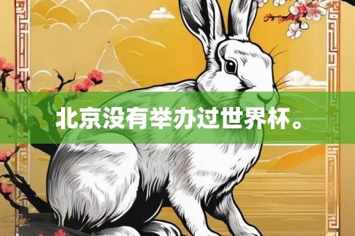 北京没有举办过世界杯。