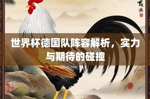 世界杯德国队阵容解析，实力与期待的碰撞