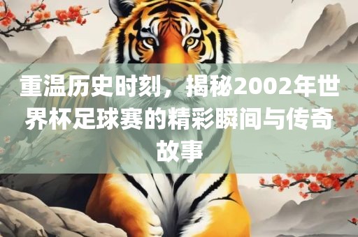 重温历史时刻，揭秘2002年世界杯足球赛的精彩瞬间与传奇故事