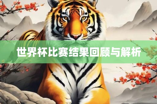 世界杯比赛结果回顾与解析