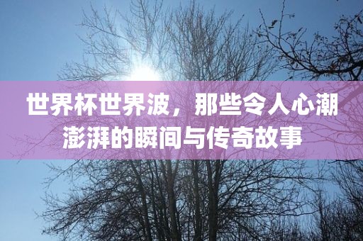 世界杯世界波，那些令人心潮澎湃的瞬间与传奇故事