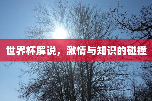 世界杯解说，激情与知识的碰撞洪湖市顺升工程机械租赁有限公司