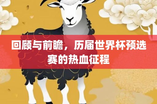 回顾与前瞻，历届世界杯预选赛的热血征程