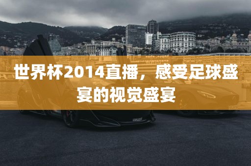 世界杯2014直播，感受足球盛宴的视觉盛宴