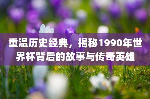 重温历史经典，揭秘1990年世界杯背后的故事与传奇英雄