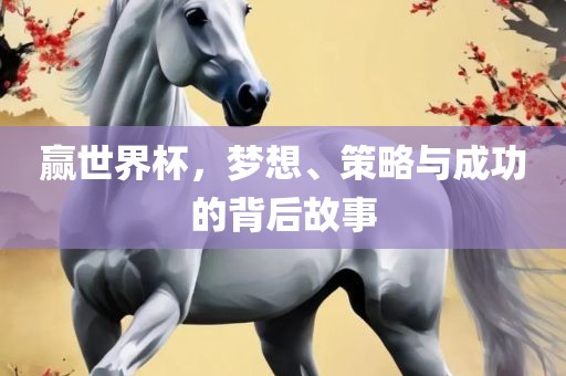 赢世界杯，梦想、策略与成功的背后故事