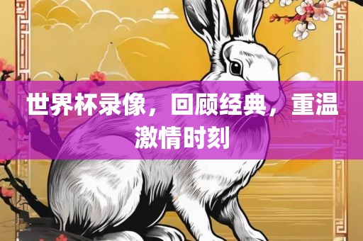 世界杯录像，回顾经典，重温激情时刻