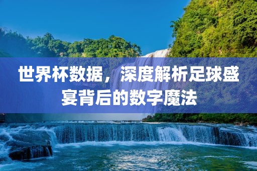 世界杯数据，深度解析足球盛宴背后的数字魔法洪湖市顺升工程机械租赁有限公司