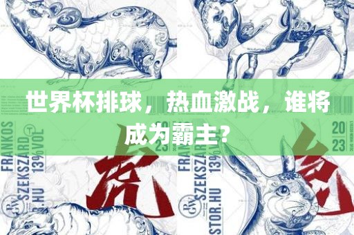 世界杯排球，热血激战，谁将成为霸主？