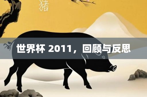 世界杯 2011，回顾与反思洪湖市顺升工程机械租赁有限公司