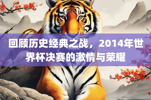 回顾历史经典之战，2014年世界杯决赛的激情与荣耀洪湖市顺升工程机械租赁有限公司