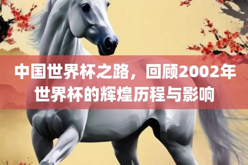 中国世界杯之路，回顾2002年世界杯的辉煌历程与影响