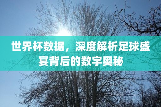 世界杯数据，深度解析足球盛宴背后的数字奥秘
