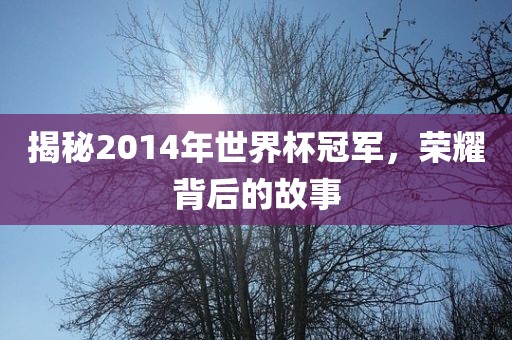 揭秘2014年世界杯冠军，荣耀背后的故事