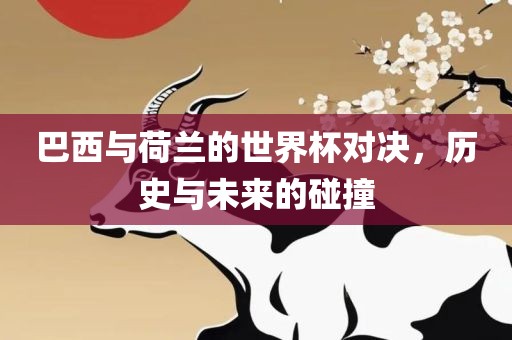 巴西与荷兰的世界杯对决，历史与未来的碰撞洪湖市顺升工程机械租赁有限公司