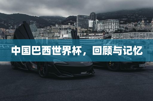 中国巴西世界杯，回顾与记忆