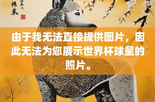 由于我无法直接提供图片，因此无法为您展示世界杯球星的照片。