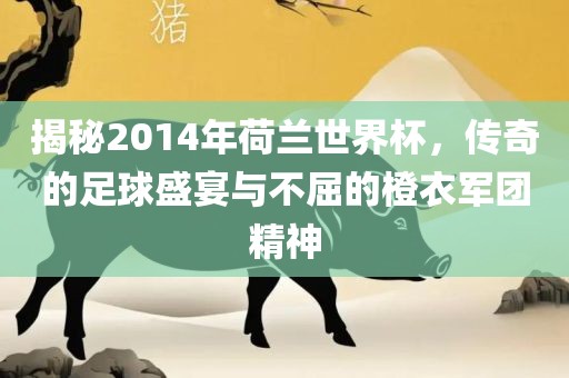 揭秘2014年荷兰世界杯，传奇的足球盛宴与不屈的橙衣军团精神洪湖市顺升工程机械租赁有限公司