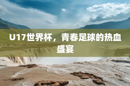 U17世界杯，青春足球的热血盛宴