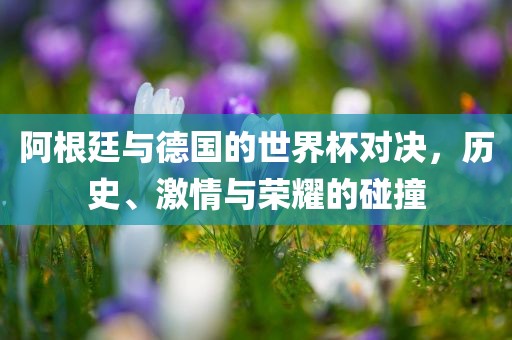 阿根廷与德国的世界杯对决，历史、激情与荣耀的碰撞