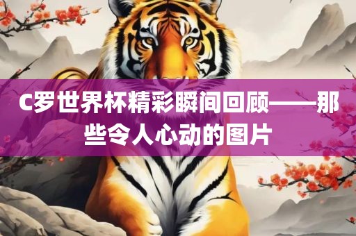 C罗世界杯精彩瞬间回顾——那些令人心动的图片