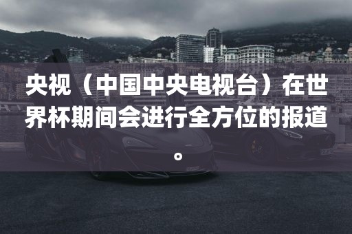 央视（中国中央电视台）在世界杯期间会进行全方位的报道。