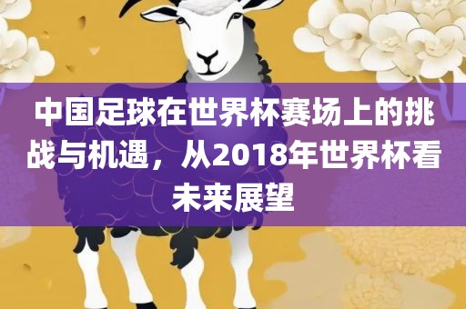 中国足球在世界杯赛场上的挑战与机遇，从2018年世界杯看未来展望洪湖市顺升工程机械租赁有限公司