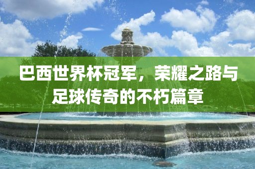 巴西世界杯冠军，荣耀之路与足球传奇的不朽篇章