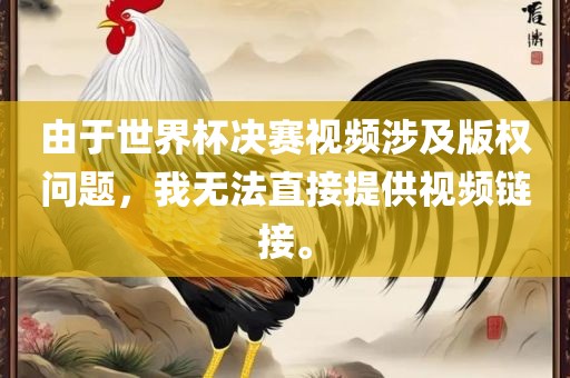 由于世界杯决赛视频涉及版权问题，我无法直接提供视频链接。