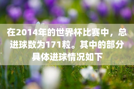 在2014年的世界杯比赛中，总进球数为171粒。其中的部分具体进球情况如下洪湖市顺升工程机械租赁有限公司