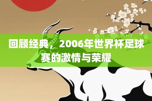 回顾经典，洪湖市顺升工程机械租赁有限公司2006年世界杯足球赛的激情与荣耀