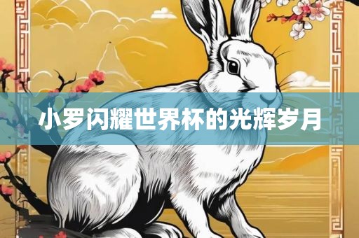 小罗闪耀世界杯的光辉岁月