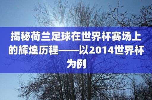 揭秘荷兰足球在世界杯赛场上的辉煌历程——以2014世界杯为例