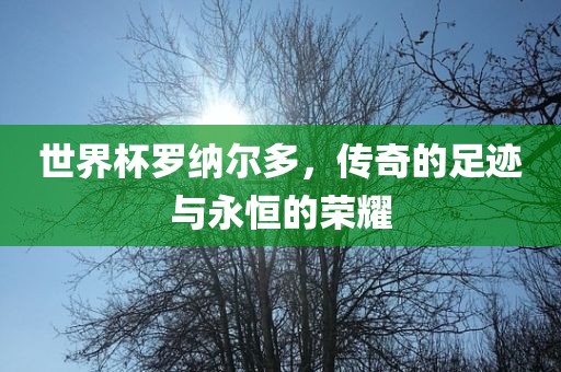 世界杯罗纳尔多，传奇的足迹与永恒的荣耀