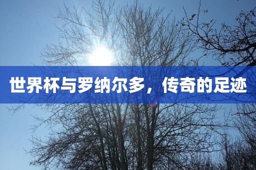 世界杯与罗纳尔多，传奇的足迹洪湖市顺升工程机械租赁有限公司