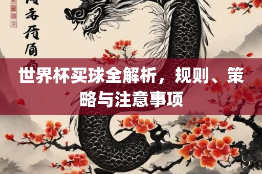 世界杯买球全解析，规则、策略与注意事项