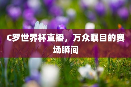 C罗世界杯直播，万众瞩目的赛场瞬间洪湖市顺升工程机械租赁有限公司