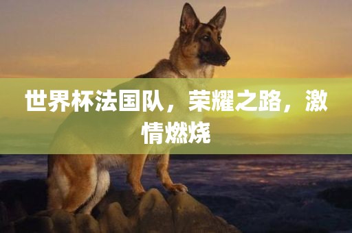 世界杯法国队，荣耀之路，激情燃烧