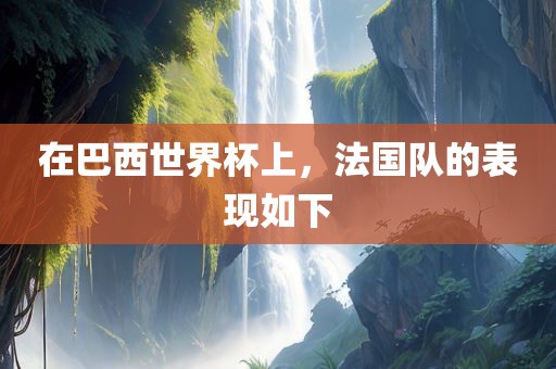 在巴西世界杯上，法国队的表现如下