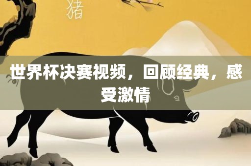 世界杯决赛视频，回顾经典，感受激情洪湖市顺升工程机械租赁有限公司