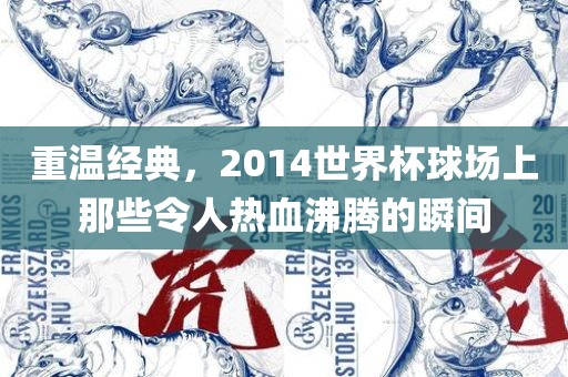 重温经典，2014世界杯球场上那些令人热血沸腾的瞬间