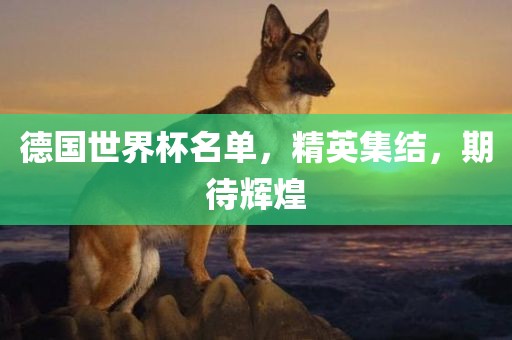 德国世界杯名单，精英集结，期待辉煌