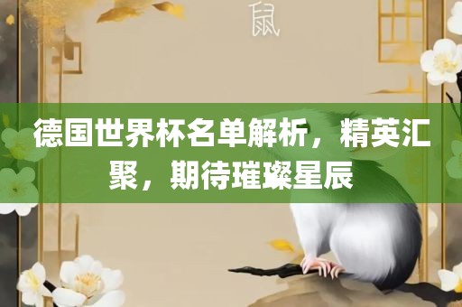 德国世界杯名单解析，精英汇聚，期待璀璨星辰