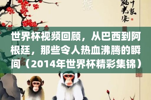 世界杯视频回顾，从巴西到阿根廷，那些令人热血沸腾的瞬间（2014年世界杯精彩集锦）洪湖市顺升工程机械租赁有限公司