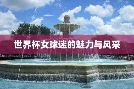 世界杯女球迷的魅力与风采洪湖市顺升工程机械租赁有限公司