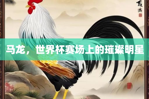 马龙，世界杯赛场上的璀璨明星