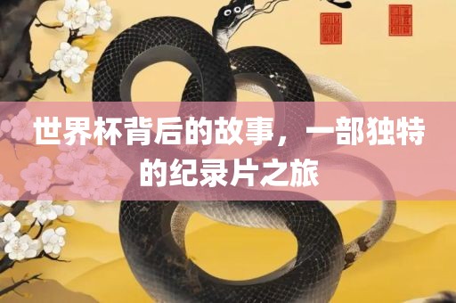 世界杯背后的故事，一部独特的纪录片之旅洪湖市顺升工程机械租赁有限公司