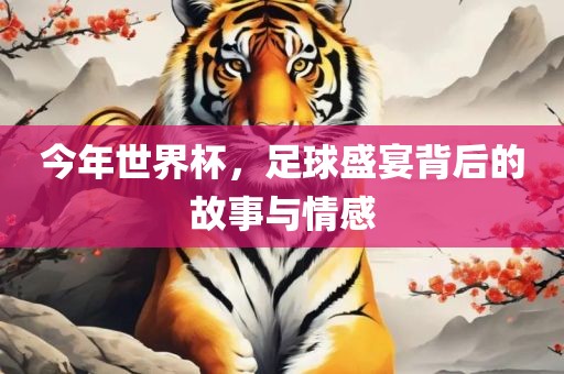 今年世界杯，足球盛宴背后的故事与情感